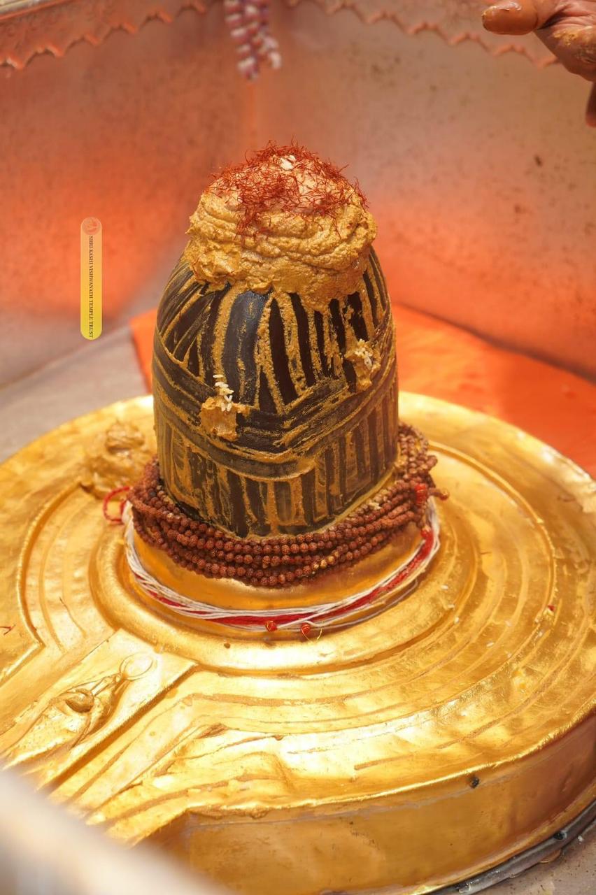 WhatsApp Image 2024-12-13 at 11.15.32_d3adc916.jpg